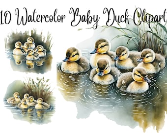 Watercolor Ducklings Clipart: Baby Duck Digital Illustration (Commercial Use)