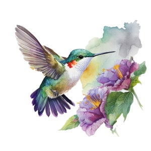 10 Hummingbird Clipart,  JPGs, Digital Download, Card Making, Clip Art, Digital Paper Craft, Hummingbird watercolor,Hummingbird illustration