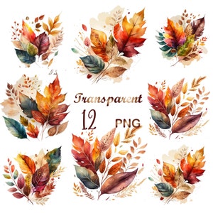 12 PNG,Watercolor Autumn clipart,autumn leaves clipart,autumn field flowers,autumn clipart,watercolor autumn,autumn leaves clipart