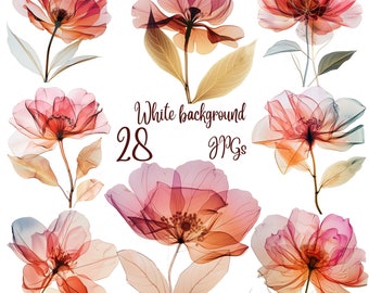 28 JPGs, Abstract Flowers Clipart bundle, Dried Flowers, Printable Watercolor clipart, Digital download, Paper craft, junk journals