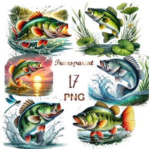 17  PNG, Bass Fish clipart bundle, Funny Bass Fish,Watercolor Bass, Fish Clipart, Fish PNG, Fishing Fish png, Fishing png, Jumping Bass Fish