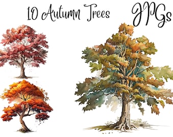 10 Autumn Trees, Autumn Clipart, JPGs, Commercial use, Digital Download,Watercolor Clipart,Card Making,Clip Art,Digital Paper Craft