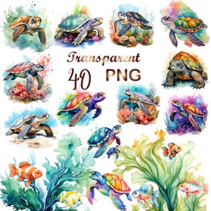 40 Watercolor Sea Turtle Clipart png, Turtle png,Sea Turtle clipart,watercolor Turtle,watercolor Turtle clipart,cute Turtle,digital download