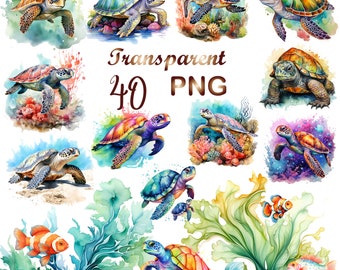 40 Watercolor Sea Turtle Clipart png, Turtle png,Sea Turtle clipart,watercolor Turtle,watercolor Turtle clipart,cute Turtle,digital download