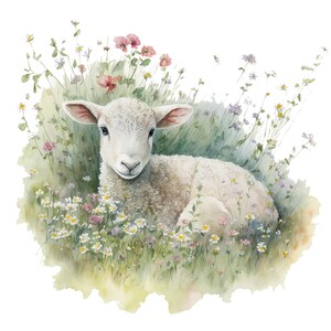 Op de afbeelding: Waterverfillustratie van een wit lam dat rust in een veld met wilde bloemen. Het lam heeft zachte, krullende wol en is omgeven door madeliefjes, roze en paarse bloemen en groen gras. Het kunstwerk heeft een zachte, dromerige kwaliteit.