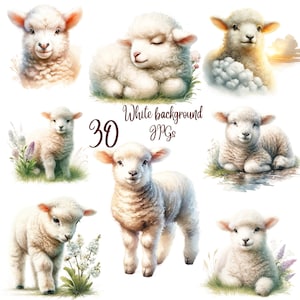 30 JPGs Baby Lamb Clipart bundle,Lamb clipart,Baby Animals clipart,Farm Animals clipart,Baby Sheep art,Nursery Wall Art,Cute Animals Clipart