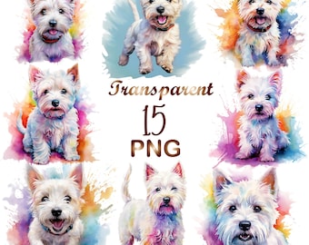 15 Westie Dogs aquarel clipart, PNG, bundel hoge kwaliteit, West Highland White Terrier, aquarel honden en puppy's, commercieel gebruik, schattig
