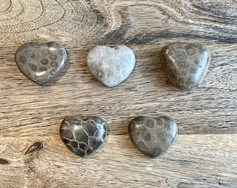 Polished Petoskey Stone Hearts