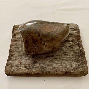 Petoskey Stone (polished)