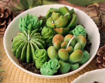 Succulent cakti succulent plant candle soy wax