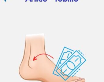ES-256 : Spanisches Visuelles-Rückruf-System (V8 Angebundene Ausgabe)