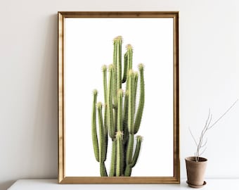 Cactus Print, Cactus Wall Art, Desert Wall Art, Printable Art,  Desert Print, Cactus Digital Art, Home Wall Decor, Wall Art, JPG | SG#7