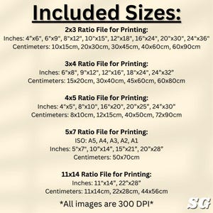 Pu&ograve; includere: Una grafica bianca con il testo "Included Sizes:" elenca le dimensioni di stampa in pollici e centimetri per vari rapporti, tra cui 2x3, 3x4, 4x5, 5x7 e 11x14. Il testo indica anche "All images are 300 DPI".