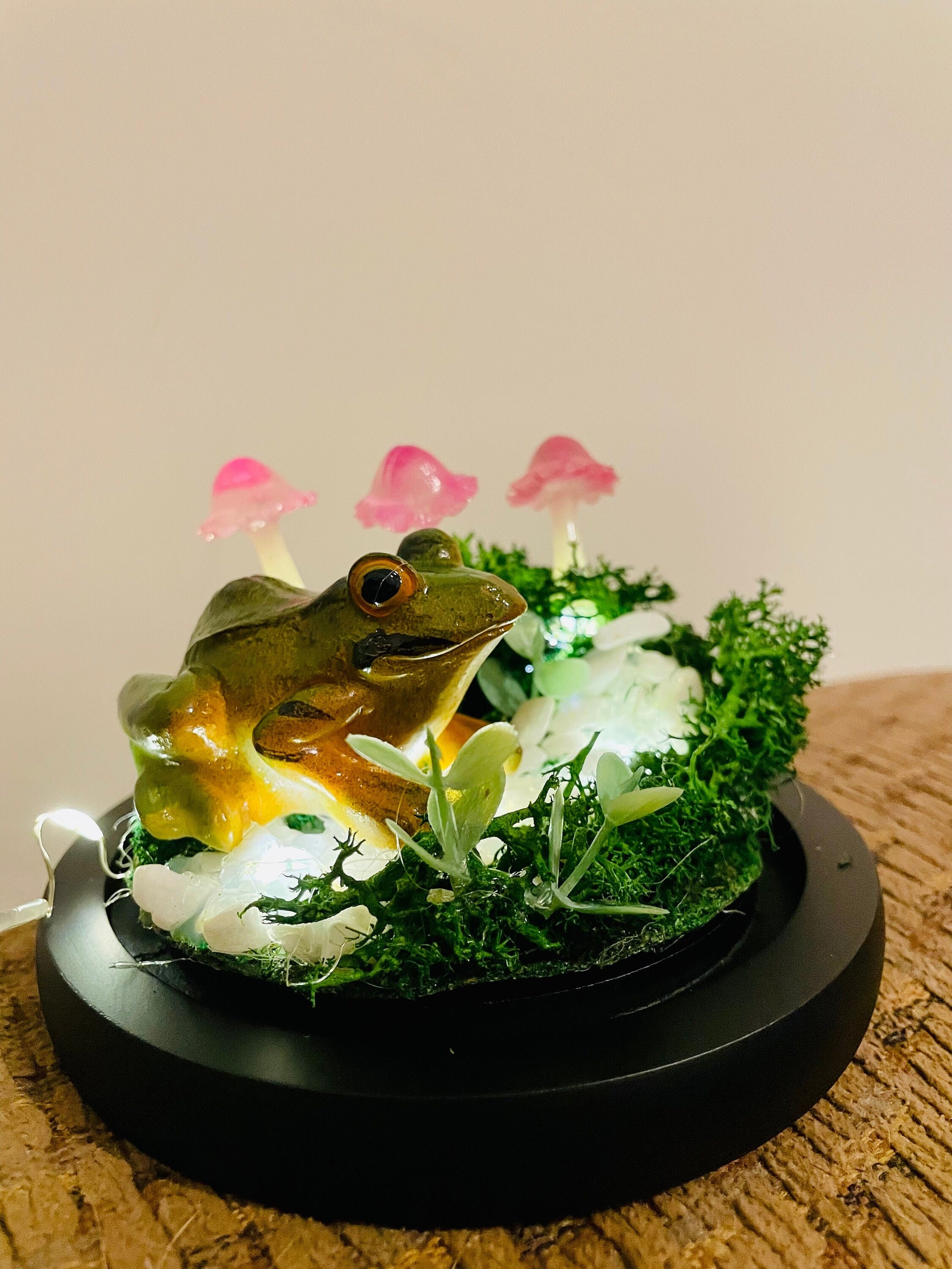 Light up Mushroom and Frog Lamp Mushroom Lamp Cottagecore Etsy