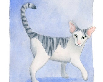 Oriental Shorthair Cat art print