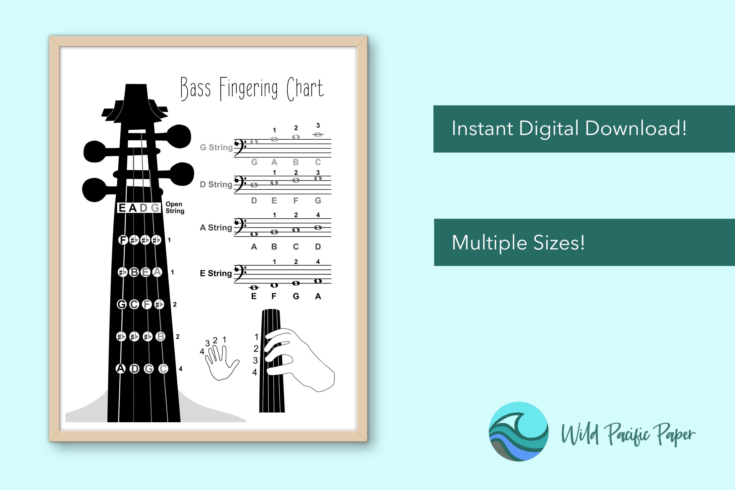 Upright Bass Fingering Chart, Bass Note Names, Music Theory Poster ...