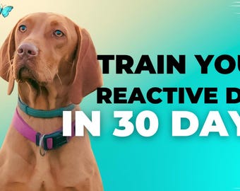 Cómo transformé a mi perro reactivo en un compañero tranquilo y seguro / Libro electrónico de adiestramiento canino