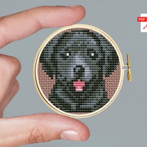 Puppy miniature cross stitch pattern dog Modern cross stitch pattern Mini cross-stitch painting
