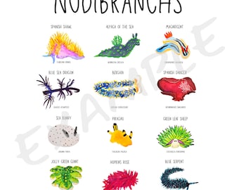Póster de Nudibranquios del Mundo: Arte de la Vida Marina (Descarga digital)