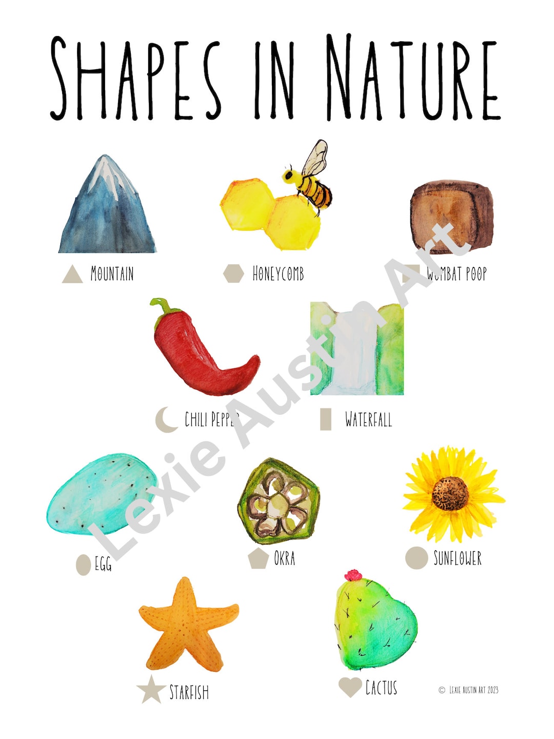 Digital Download Shapes in Nature Poster, Perfect for Elementary School ...