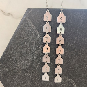 personalized custom western cow tag earrings, silver cow tags customizable western jewelry dangle earrings for women and influencers