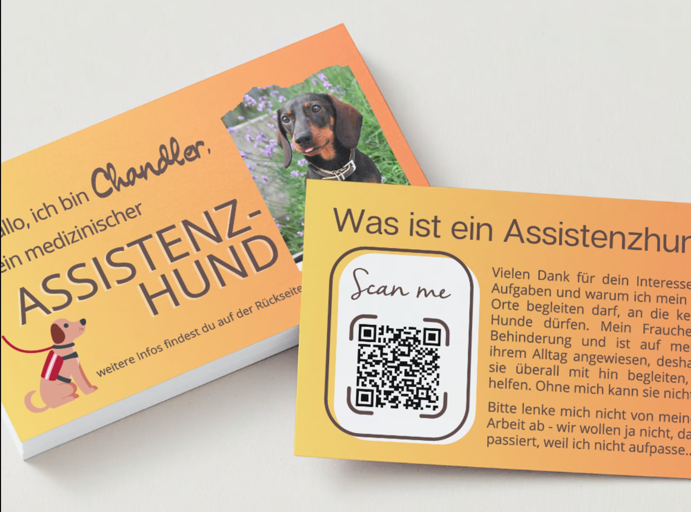 Hundeausweis - Etsy.de