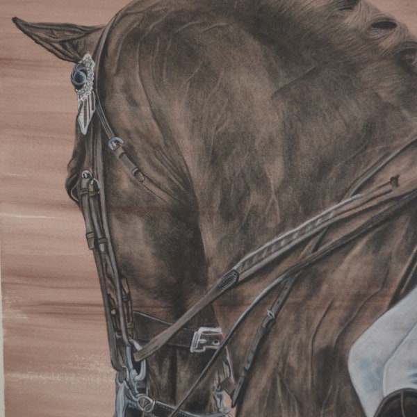 Custom Horse Charcoal drawing, horse art, equine art, equine drawing, draw your horse