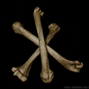 May include: Four long, brown bones are crossed in an X shape against a black background. The bones are arranged in a way that resembles a skull and crossbones.