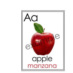 Cartões flash do alfabeto/ABC/Baixáveis/Itens da vida real/Recursos para professores