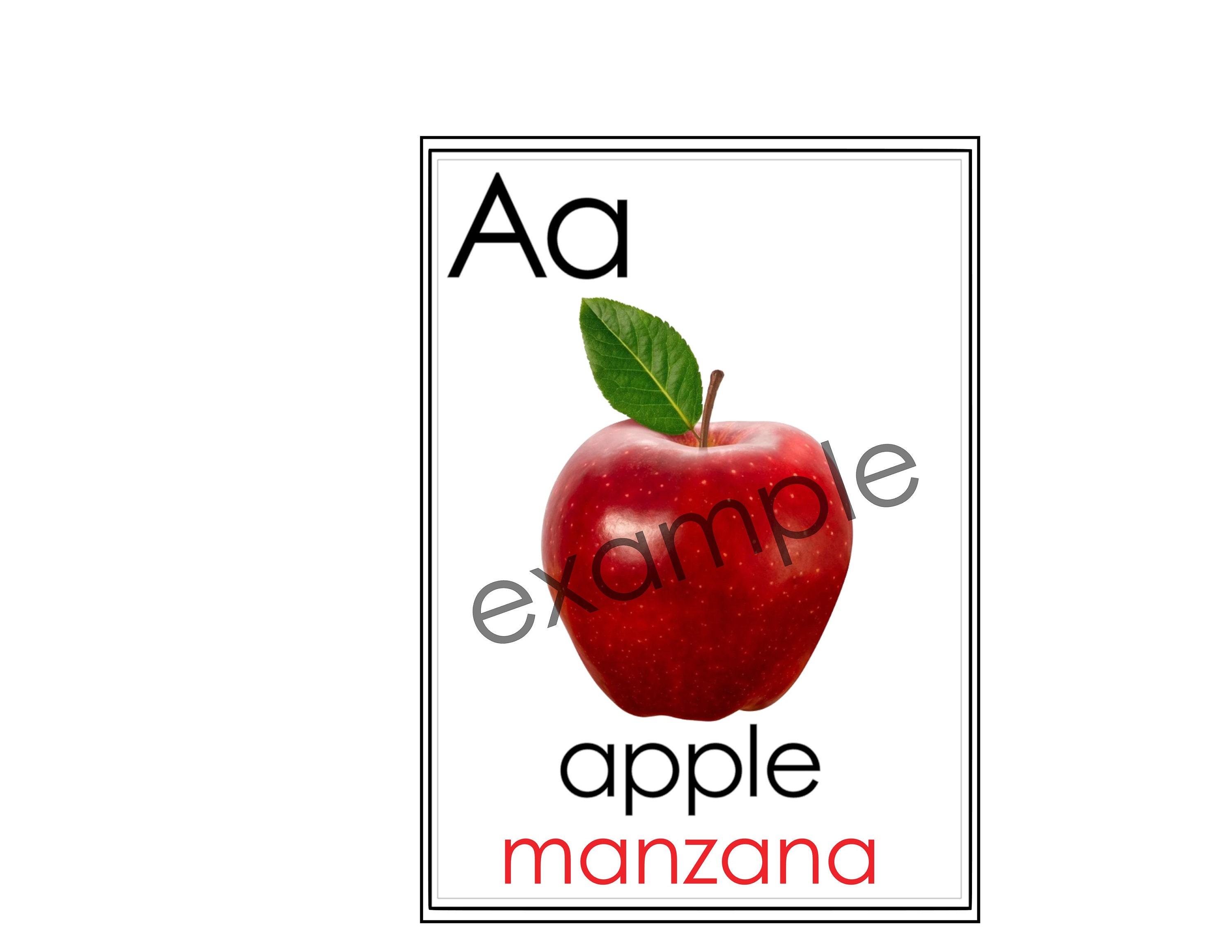 Alphabet Flash Cards/abc/downloadable/real Life Items/teacher