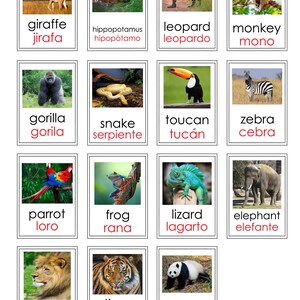 動物園の動物フラッシュカード/ダウンロード可能/教師用リソース