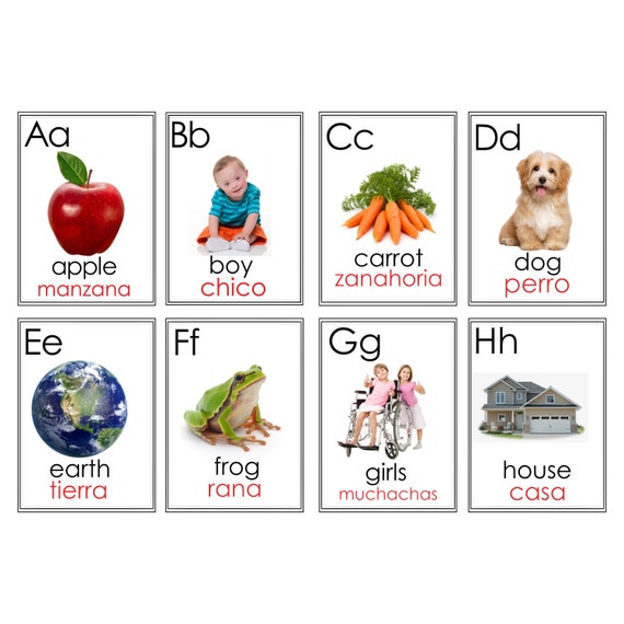 Alphabet Flash Cards/abc/downloadable/real Life Items/teacher