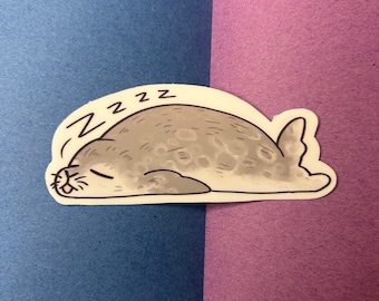 Sleepy seal vinyl sticker decal