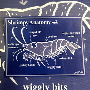 Puede incluir: Una ilustración azul y blanca de un camarón con características anatómicas etiquetadas, incluyendo "radio spy antennae", "stupid lil' eyes", "algae-powered motor", "yeehaw", "skrimps to-be", "grabby hands", y "wiggly bits". El texto "Shrimpy Anatomy" está en la parte superior de la ilustración.