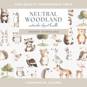 Animales del bosque Clipart Acuarela, Clipart para uso comercial, PNG transparentes, Clipart de guardería, Zorro, Oso, Ciervo, Erizo, Búho, Águila