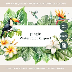 Feuilles tropicales aquarelles PNG Clipart feuilles SVG Jungle feuilles PNG Fête tropicale palmier Monstera verdure Clipart usage commercial