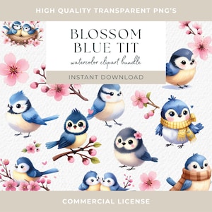 Mésange bleue en fleurs oiseau Clipart mésange bleue d'Eurasie imprimable aquarelle clip art PNGs haute qualité téléchargement numérique Carnets de bricolage en papier