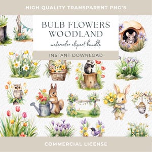 Imágenes prediseñadas de bosque primaveral Paisajes de bosque primaveral Imágenes prediseñadas de animales lindos del bosque Corona de bosque Flor Tejón Ratón Conejito Ardilla Búho Tulipanes