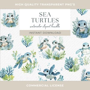 Imágenes prediseñadas de tortuga marina linda, animales del océano, tortuga marina PNG, arte animal para niños, tortuga marina bebé, guardería, gráficos para baby shower, animales marinos lindos