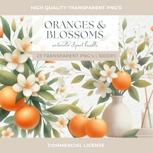 Orange Cutie PNG Little Cutie Orange Clipart Acquerello Orange Clipart Un piccolo Cutie è in arrivo Citrus Clip Art Greenery Wedding