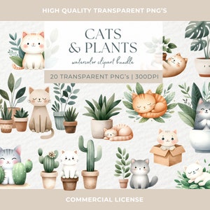 Chat mignon Monstera plante clipart PNG chats fantaisistes chaton sublimation animaux graphiques fantaisistes illustrations drôles cadeau pour amoureux des chats