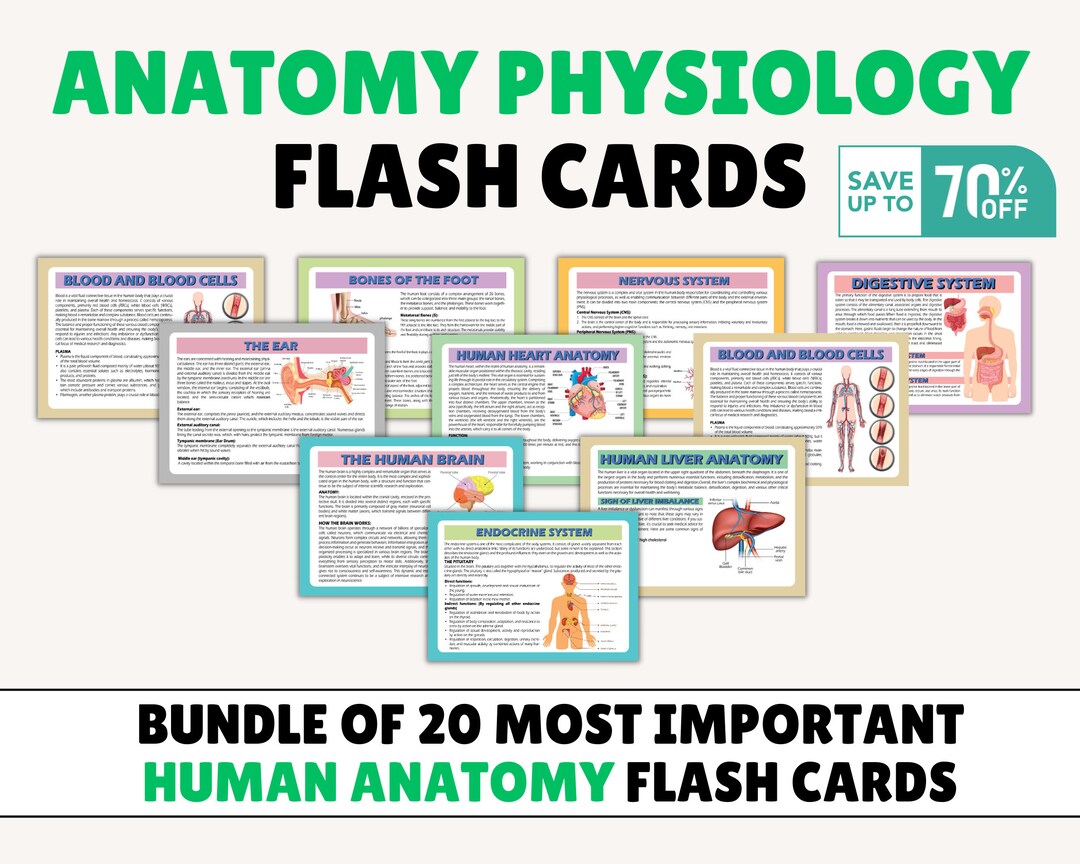 Anatomy Physiology Flashcards Anatomy Flashcards Physiology - Etsy