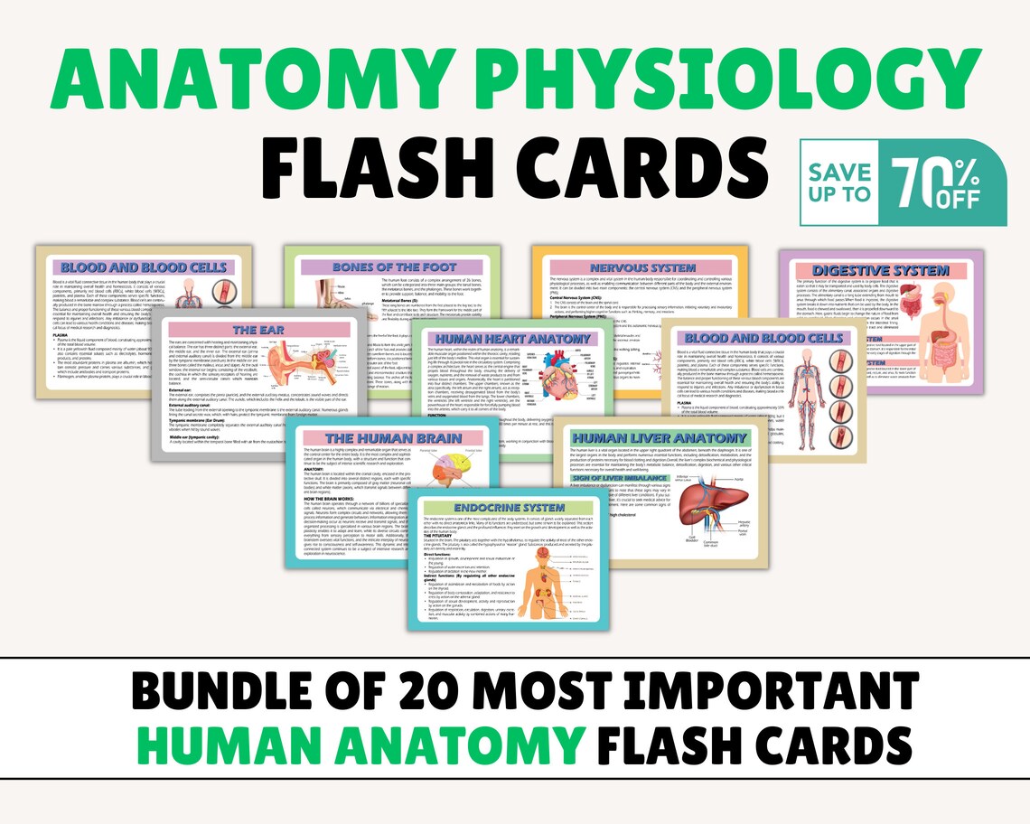 Anatomy Physiology Flashcards, Anatomy Flashcards, Physiology