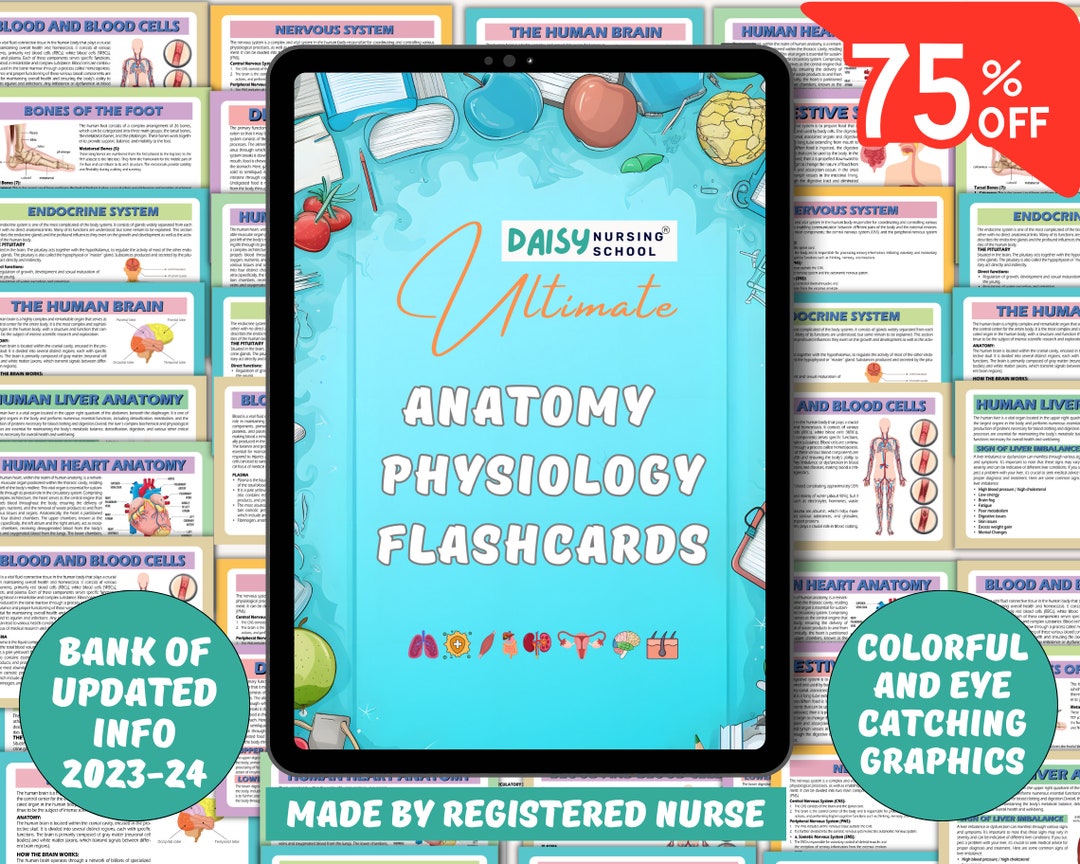 Anatomy Physiology Flashcards Anatomy Flashcards Physiology Etsy
