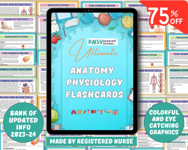Anatomy Physiology Flashcards Anatomy Flashcards Physiology Etsy UK