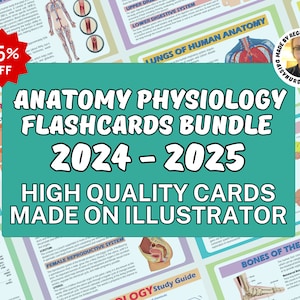 Anatomy Physiology Flashcards, Anatomy Flashcards, Physiology Flashcards, Anatomy Study guide Perfect for Nursing Students Digital Downloads