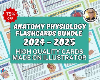 Anatomy Physiology Flashcards, Anatomy Flashcards, Physiology Flashcards, Anatomy Study guide Perfect for Nursing Students Digital Downloads