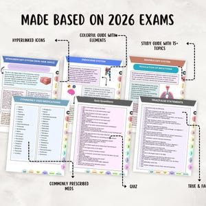 Anatomy & Physiology Study Guide, Upgraded, Hyperlinked Nursing Notes Bundle (Digital Download) image 5