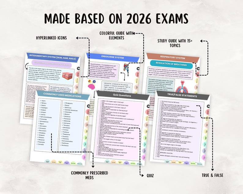 Anatomy & Physiology Study Guide, Upgraded, Hyperlinked Nursing Notes Bundle (Digital Download) image 5
