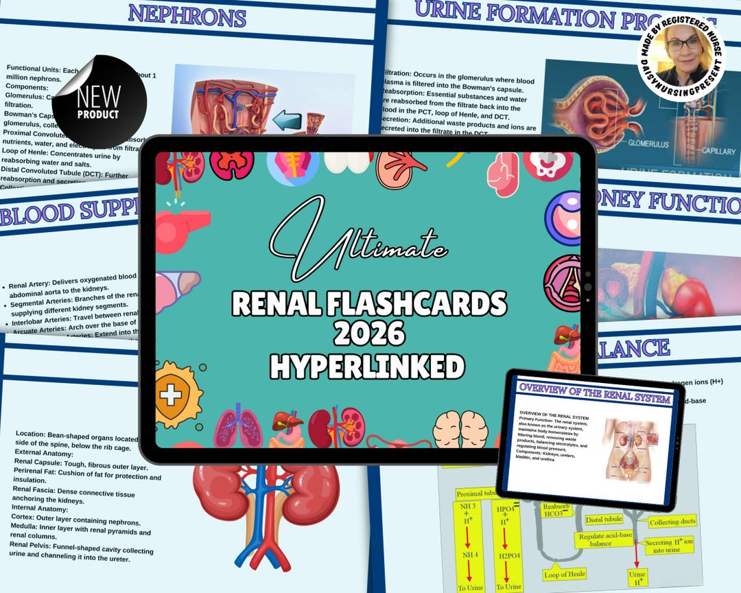 Renal Nursing Flashcards: Med Surg Study Guide - Etsy